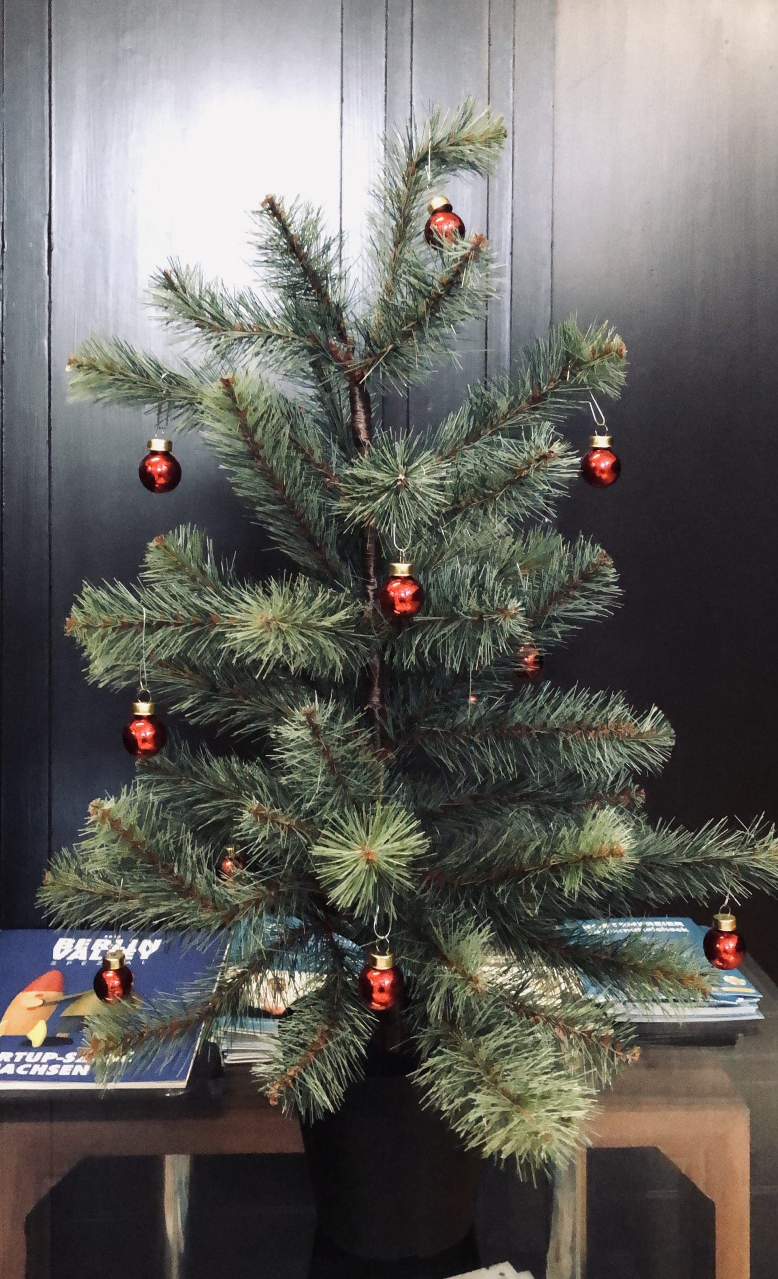 Weihnachtsbaum