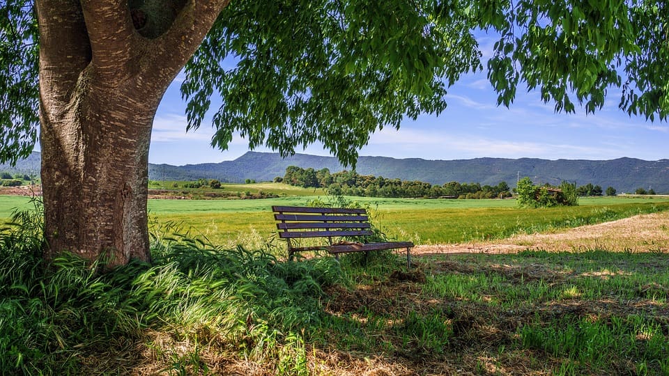 rural-area-3432088_960_720