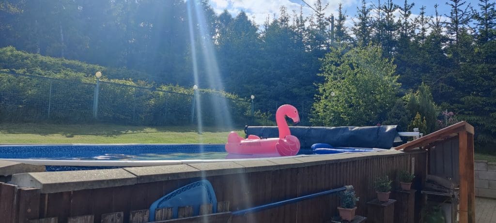 Flamingo, Pool